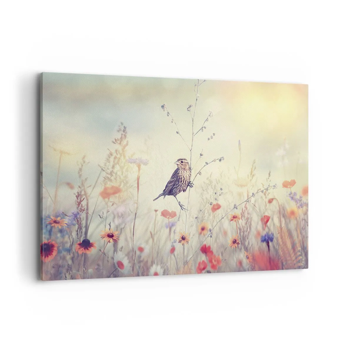 Tablou pe pânză - Portret de pasăre cu o pajiște în fundal - 120x80 cm