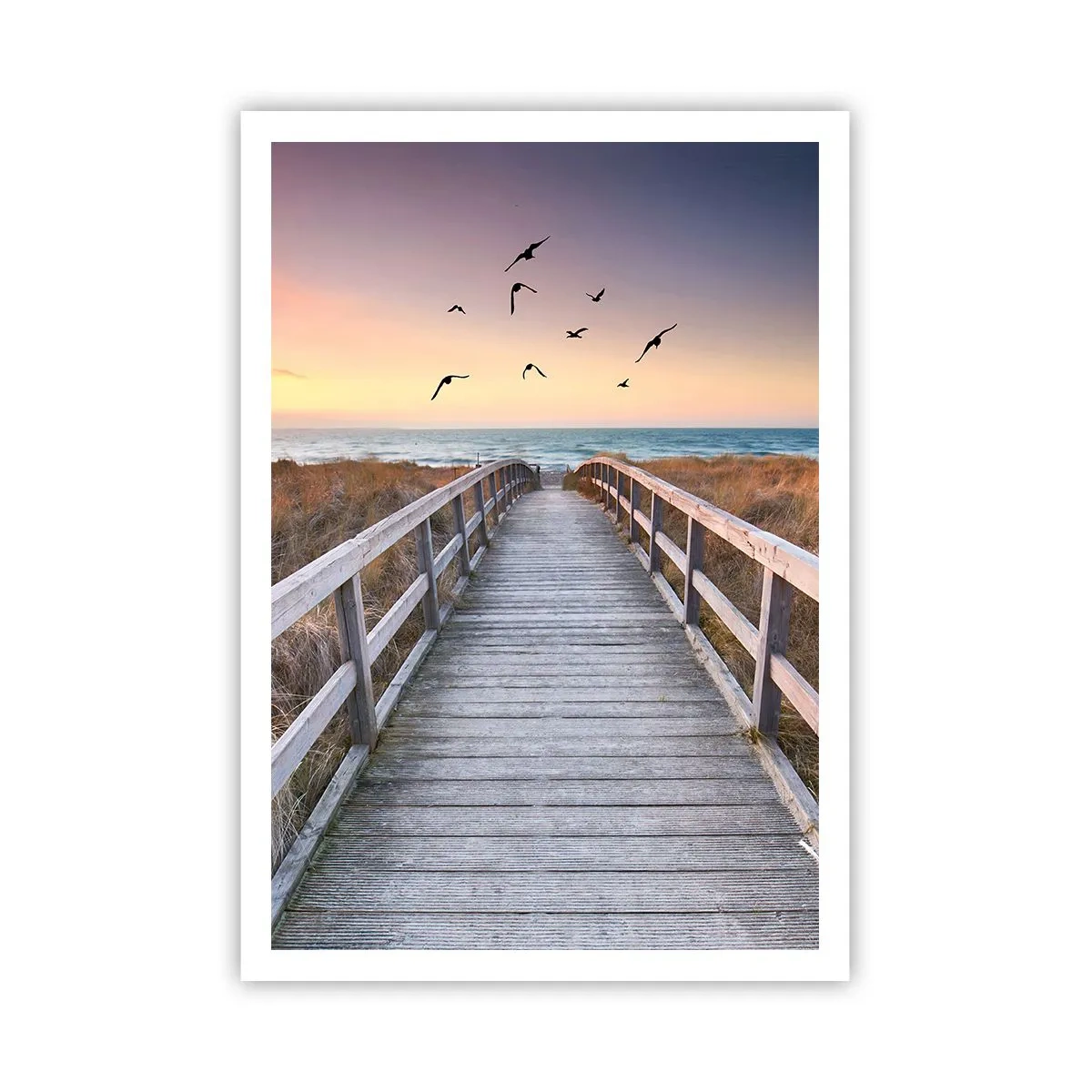 Poster - Spațiul pentru a zbura - 70x100 cm