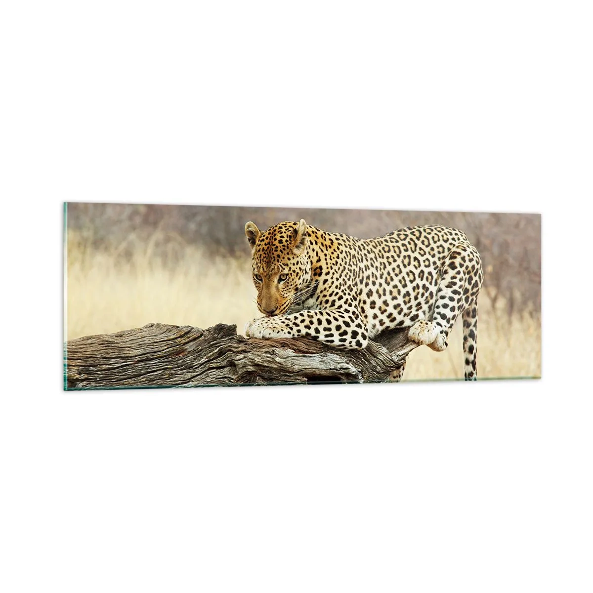 Tablou pe sticlă - Mă duc pe drumul meu - 90x30 cm