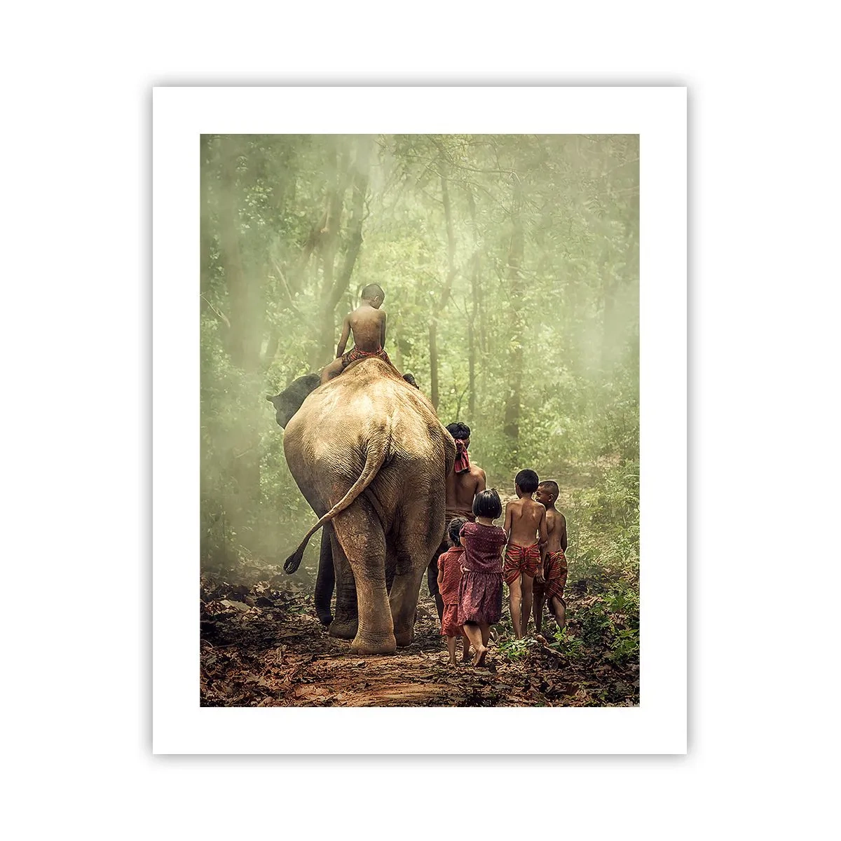 Poster - Noua Carte a Junglei - 40x50 cm