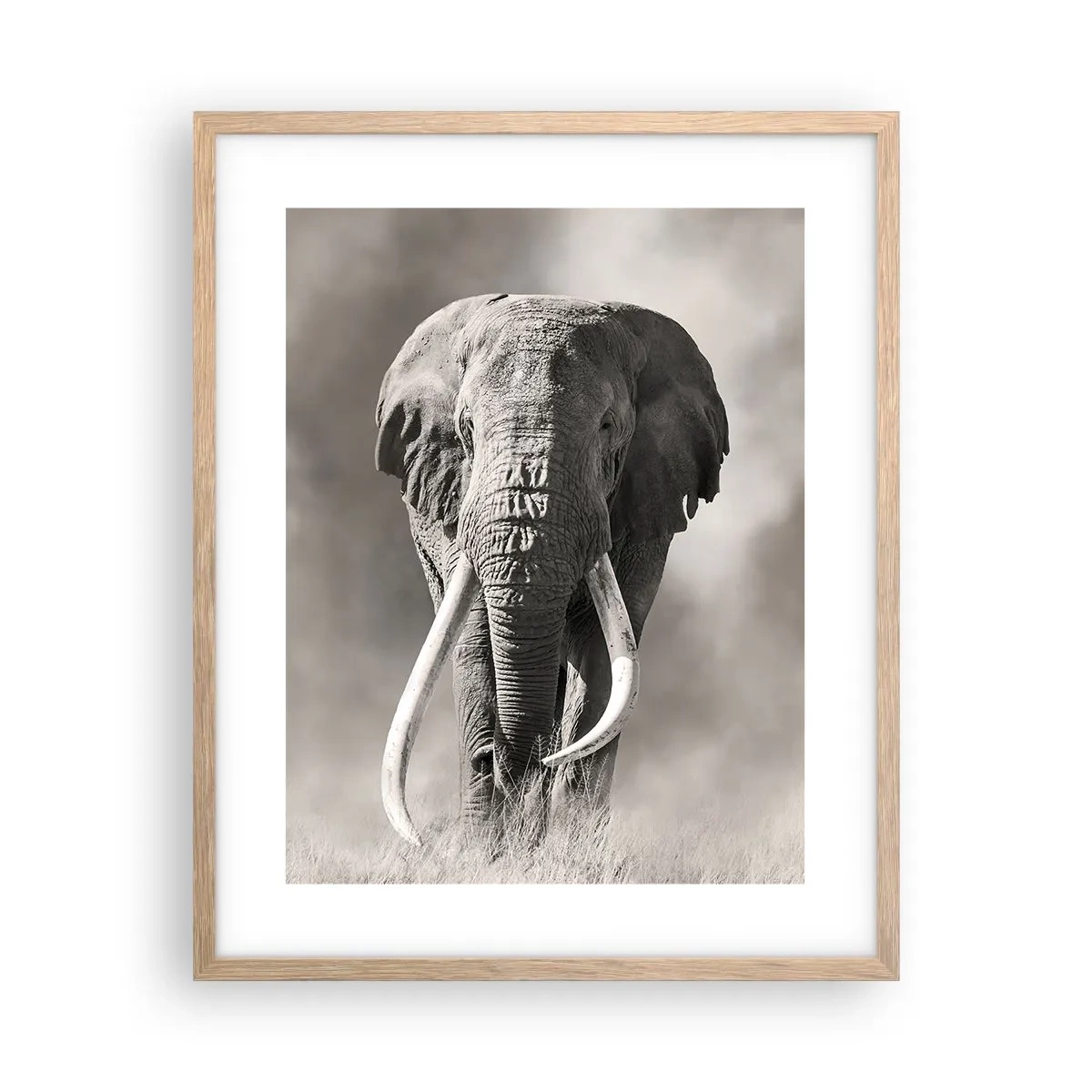 Poster în ramă de stejar deschis - Patriarh african - 40x50 cm