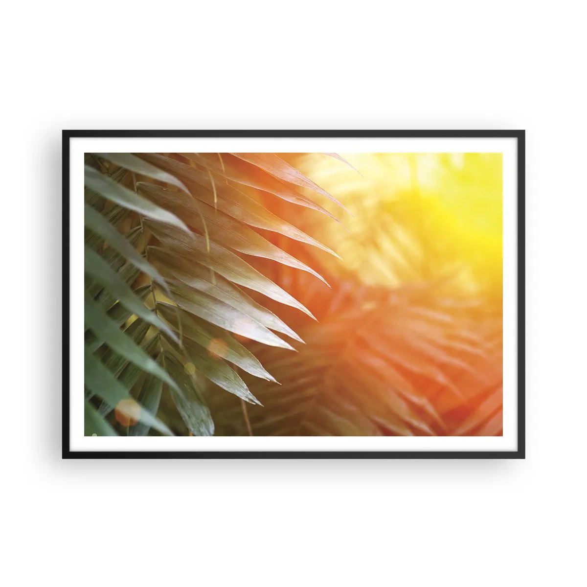 Poster în ramă neagră - Dimineață în junglă - 100x70 cm
