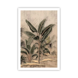 Poster - Gravură în stil colonial - 61x91 cm