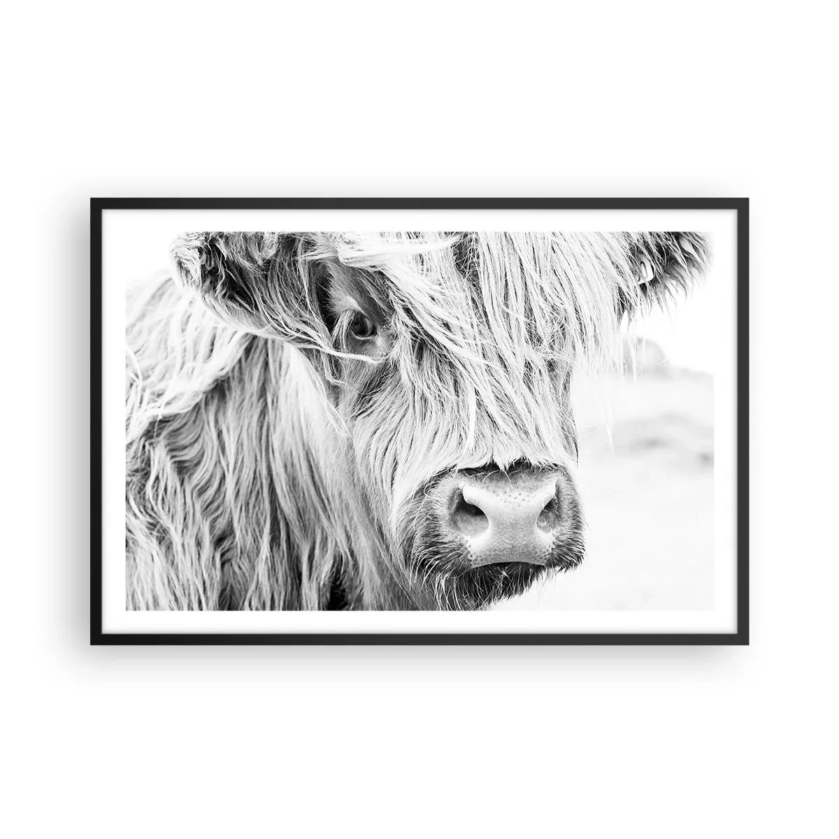 Poster în ramă neagră - Sălbăticie scoțiană - 91x61 cm