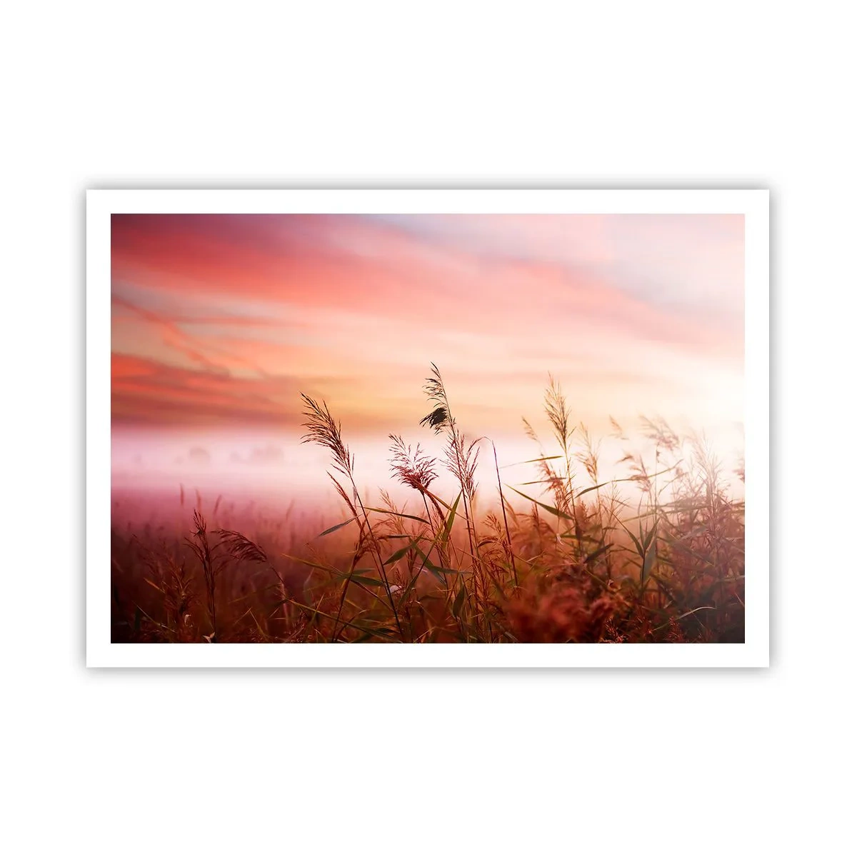 Poster - Zmeuri, suflante, vânt - 100x70 cm