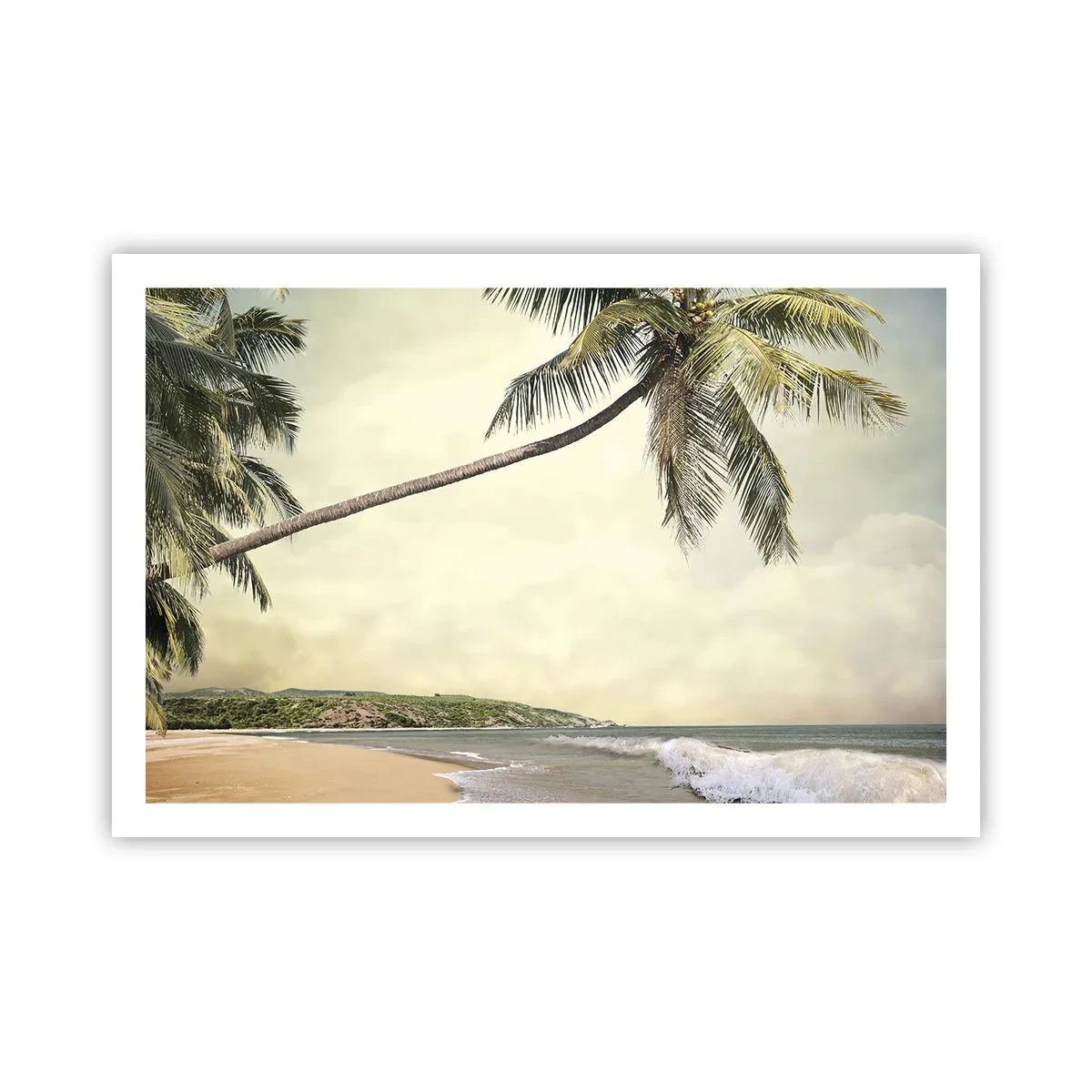 Poster - Vis tropical - 91x61 cm