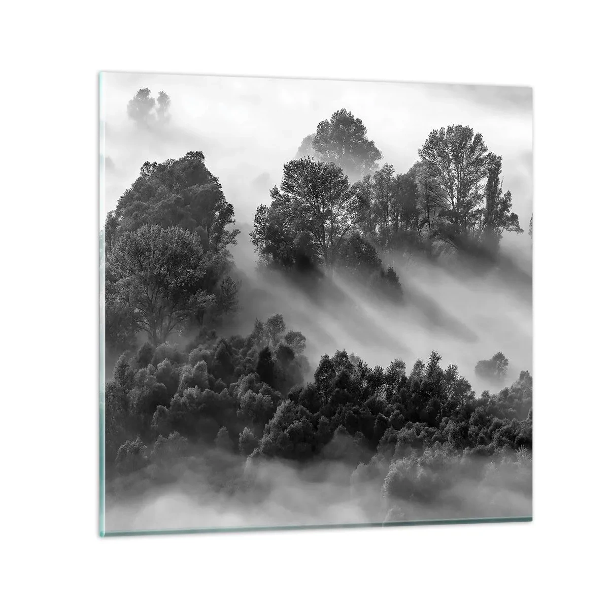 Tablou pe sticlă - Trezindu-se din somn - 70x70 cm