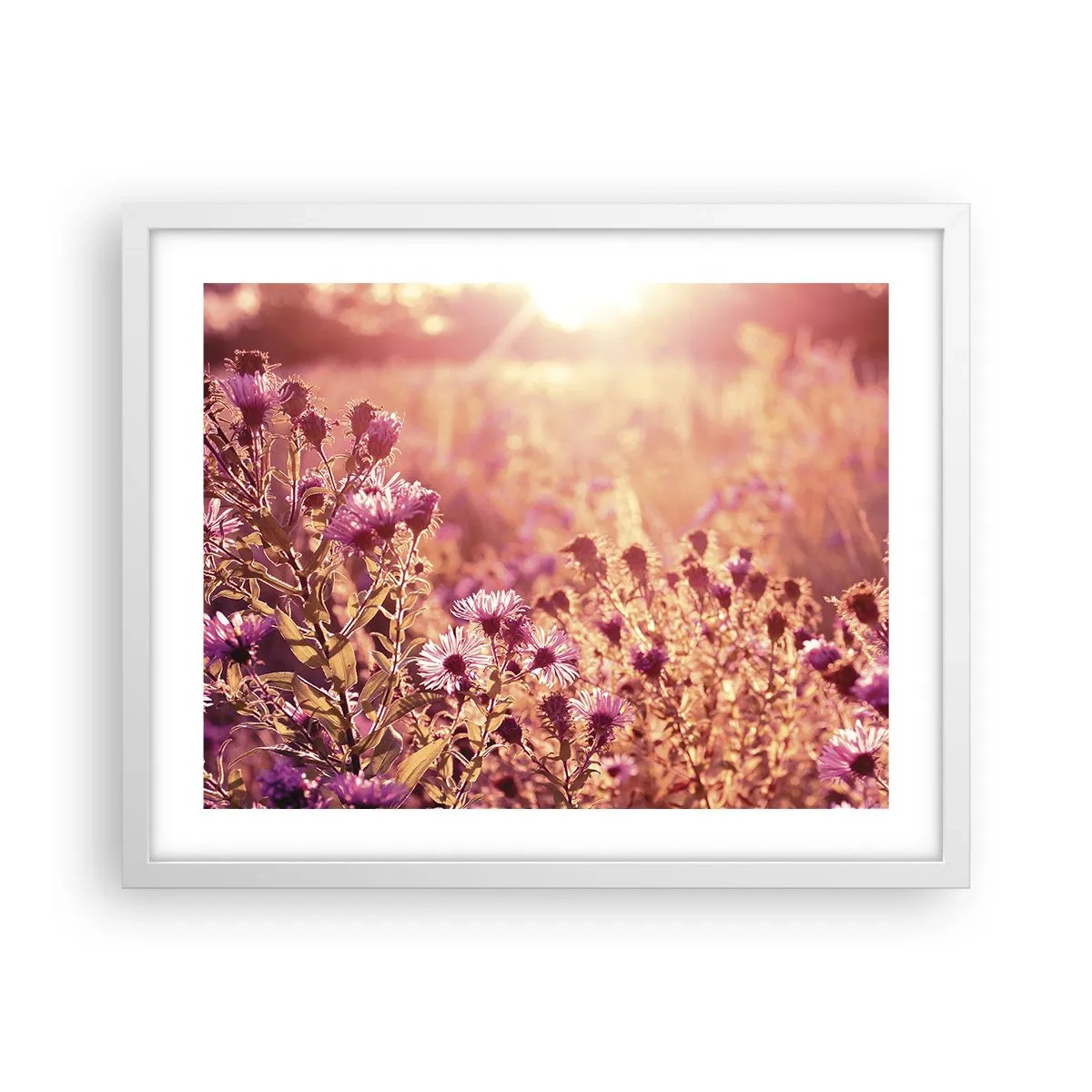 Poster în ramă albă - Înainte ca vara să plece - 50x40 cm