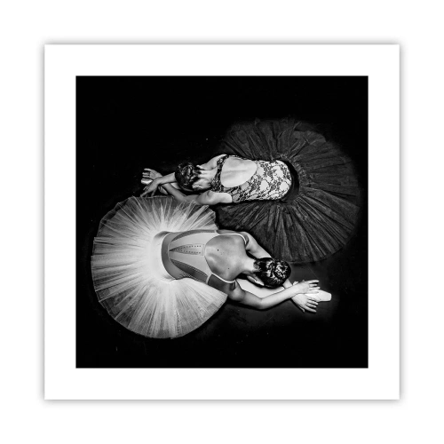 Poster - Yin și yang - echilibrul perfect - 40x40 cm