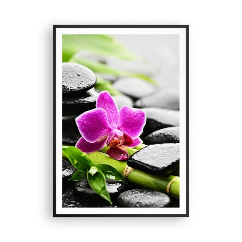 Poster în ramă neagră - Într-un echilibru pașnic - 70x100 cm