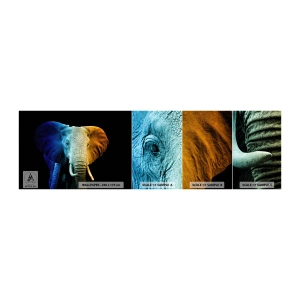 Mostră tapet autocolant Deluxe Sticker - Excentric, nu ciudat - Abstracția, Elefant, Animale - 100x30 cm