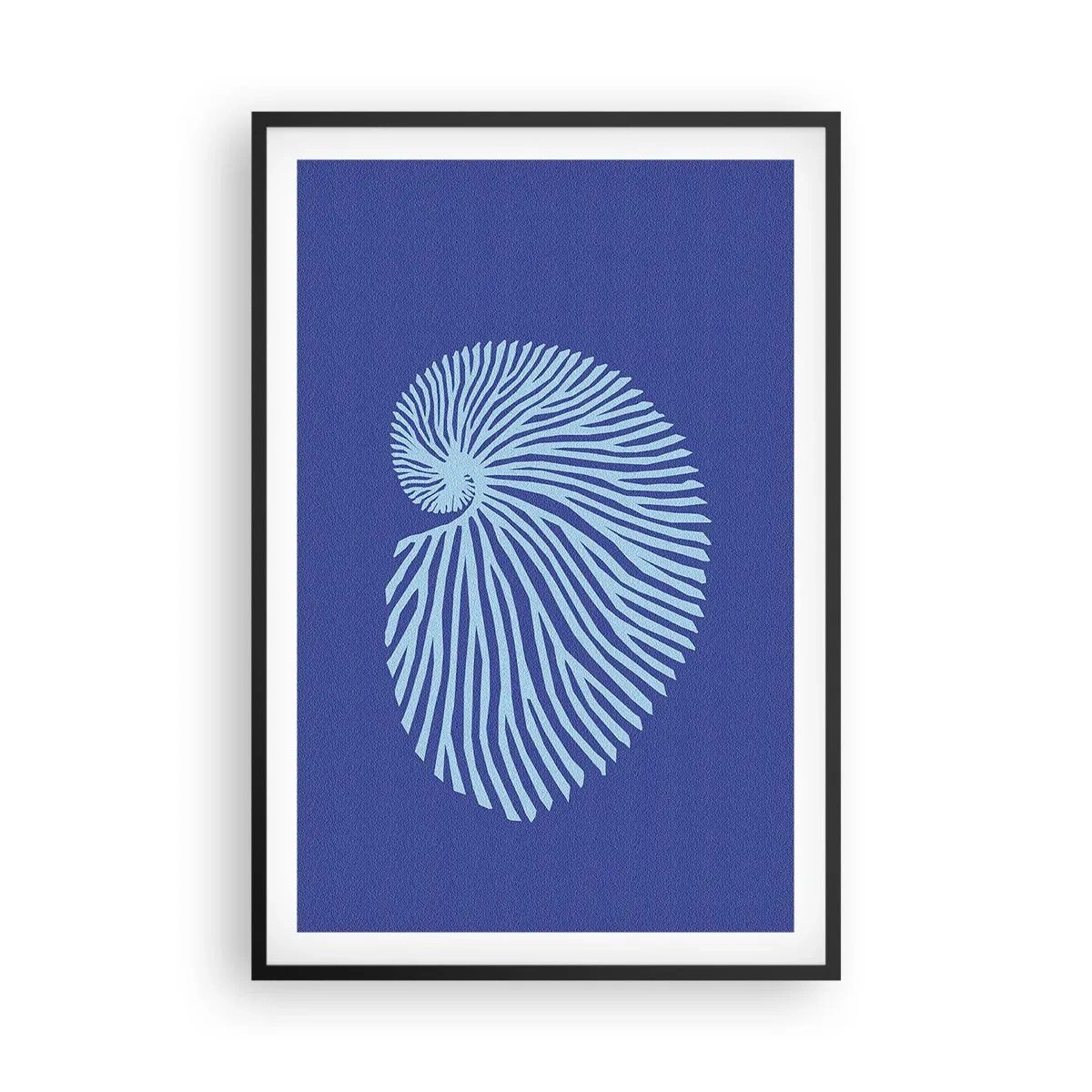 Poster în ramă neagră - Nașterea cochiliei - 61x91 cm