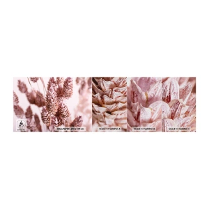 Mostră tapet Premium Canvas - Aparent discrete - Floare uscată, Floare, luncă - 100x30 cm
