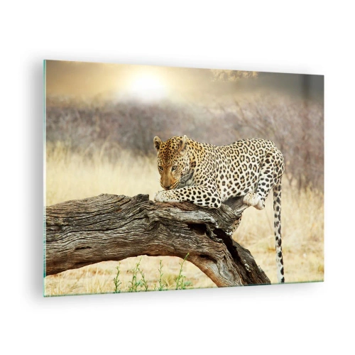 Tablou pe sticlă - Un leopard odihnindu-se pe o creangă de lemn - 70x50cm - Mă duc pe drumul meu - Decorațiune modernă pentru perete pentru living și dormitor ARTTOR