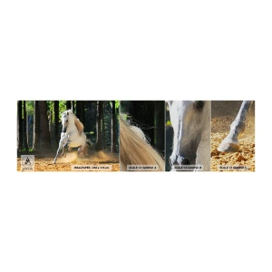 Mostră tapet Premium Sand - Ca într-un roman fantastic - Animale, Cal, Peisaj - 100x30 cm