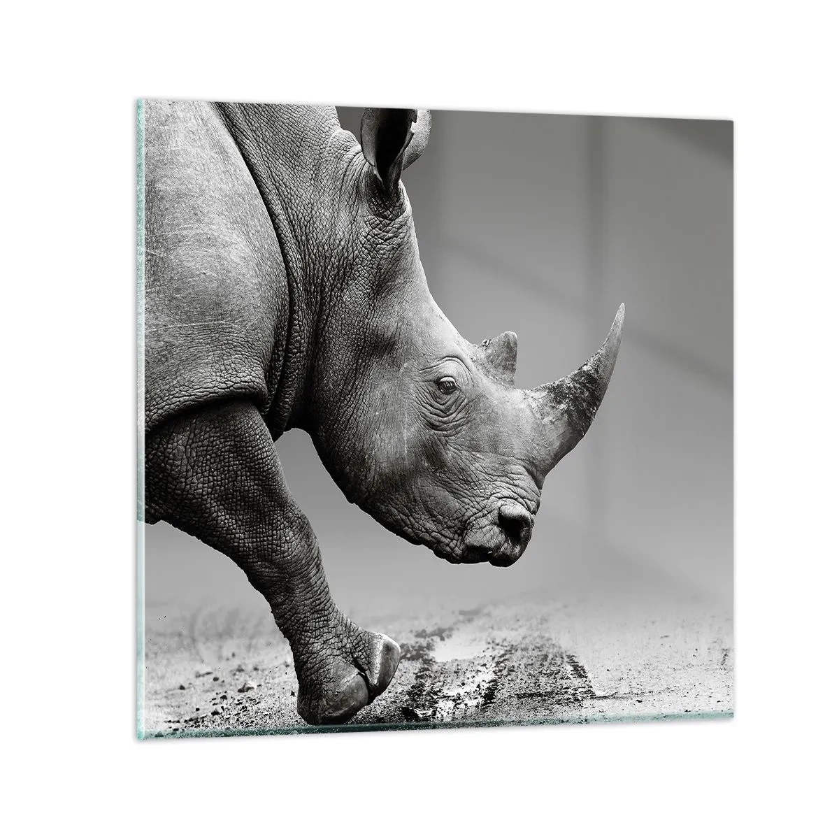 Tablou pe sticlă - O forță de neoprit - 50x50 cm