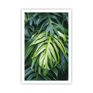 Poster - Scufundă-te în prospețime - 61x91 cm