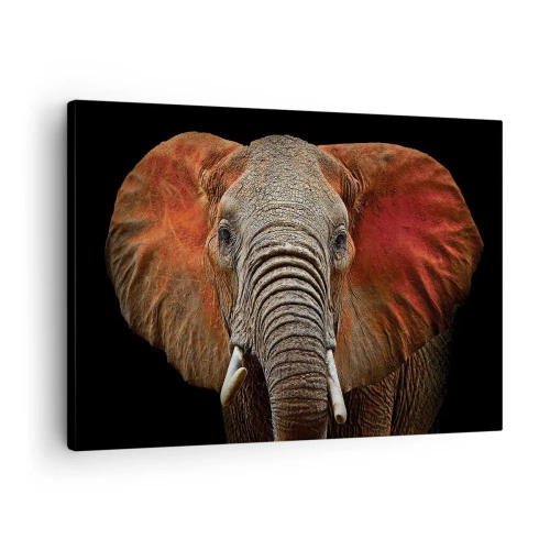 Tablou pe pânză Canvas - Portretul unui elefant pe fundal negru - 70x50cm - Sunt sălbatic, și tu? - Decorațiune modernă pentru perete pentru living și dormitor ARTTOR
