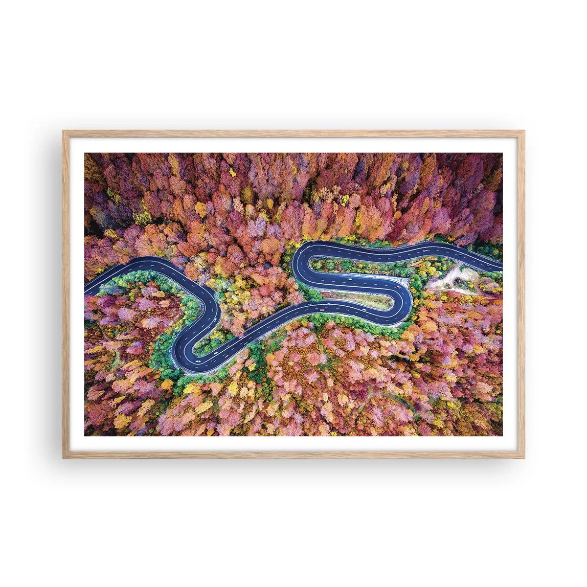 Poster în ramă de stejar deschis - Un drum șerpuit prin pădure - 100x70 cm