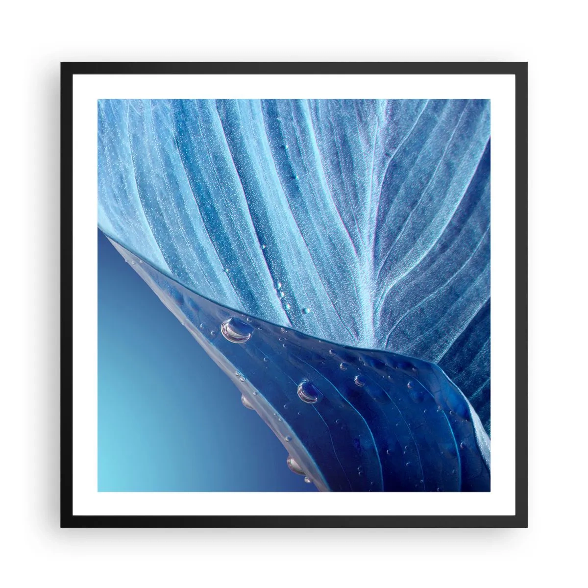 Poster în ramă neagră - Picături ascunse de albastru - 60x60 cm