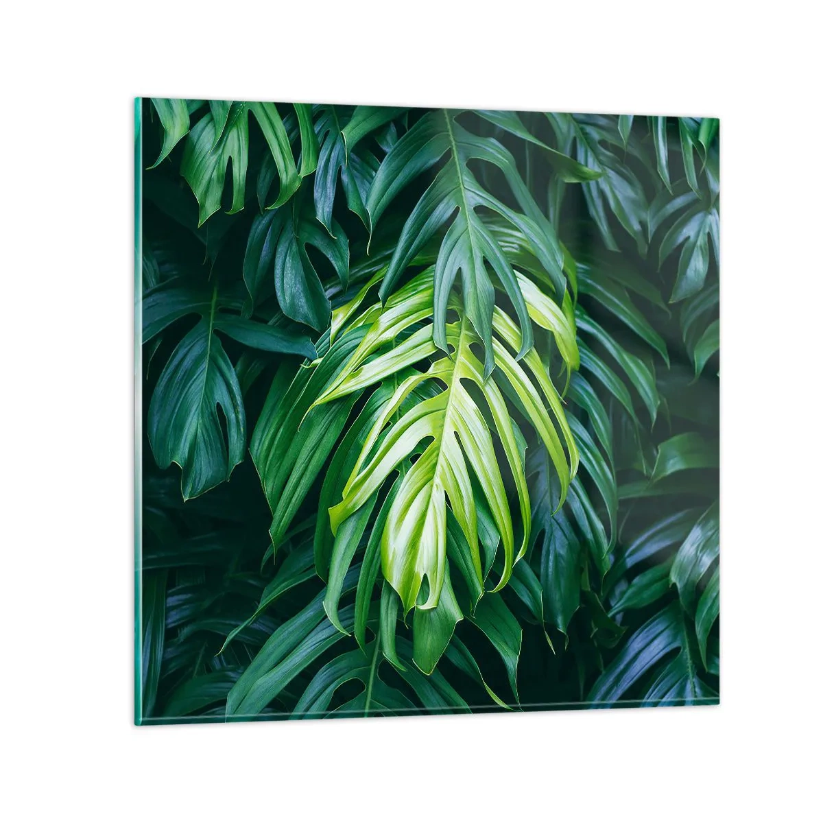 Tablou pe sticlă - Scufundă-te în prospețime - 30x30 cm
