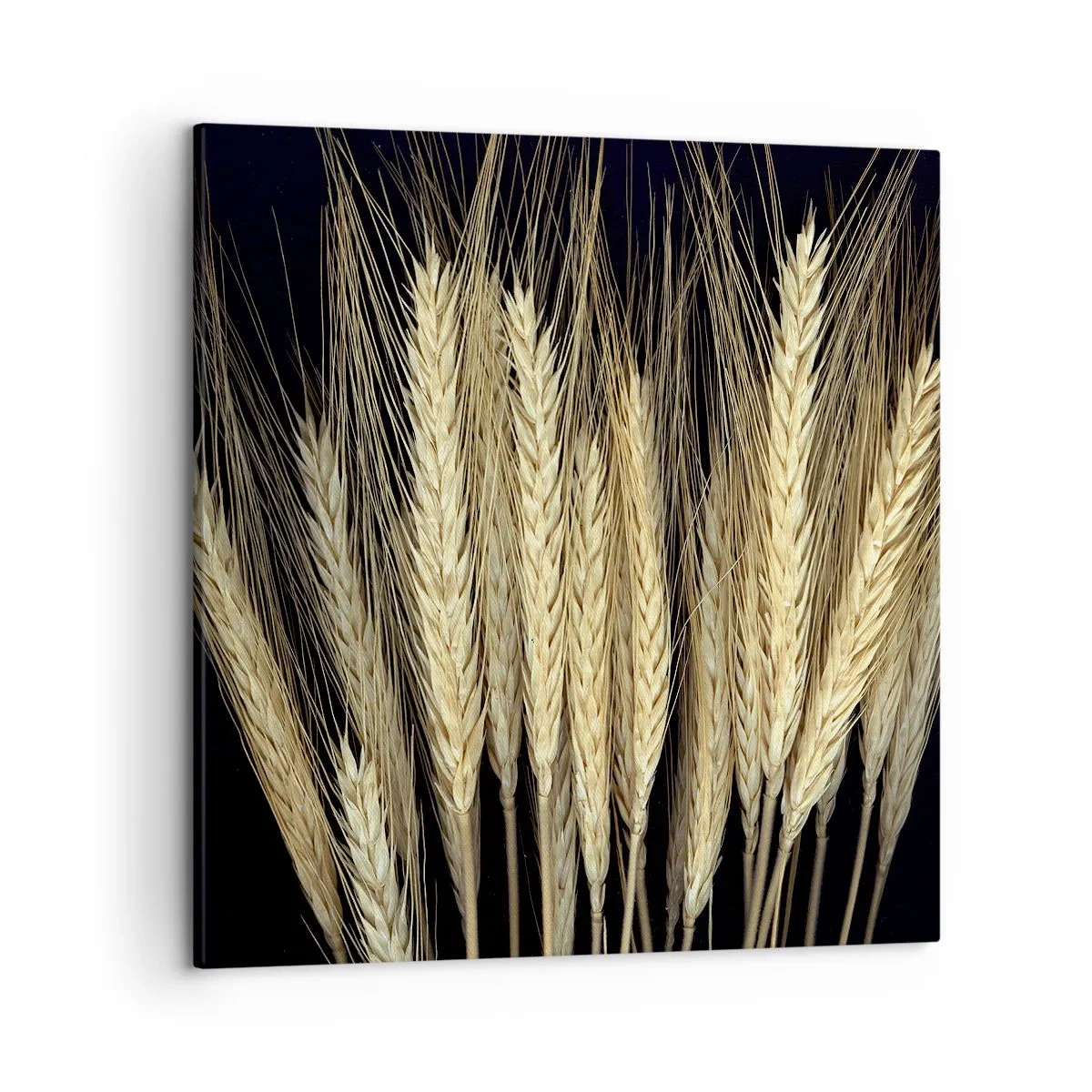 Tablou pe pânză - Magie rustică - 50x50 cm