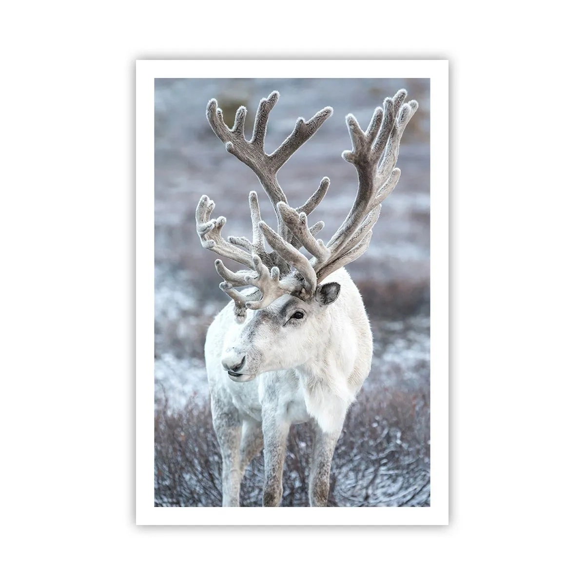 Poster - Portret la soare - 61x91 cm