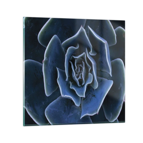 Tablou pe sticlă - Floare de deșert - 40x40 cm