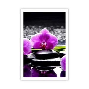 Poster - Să te scufunzi în pace și liniște - 61x91 cm