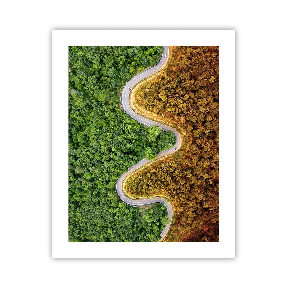 Poster - Frontiere și defilee - 40x50 cm