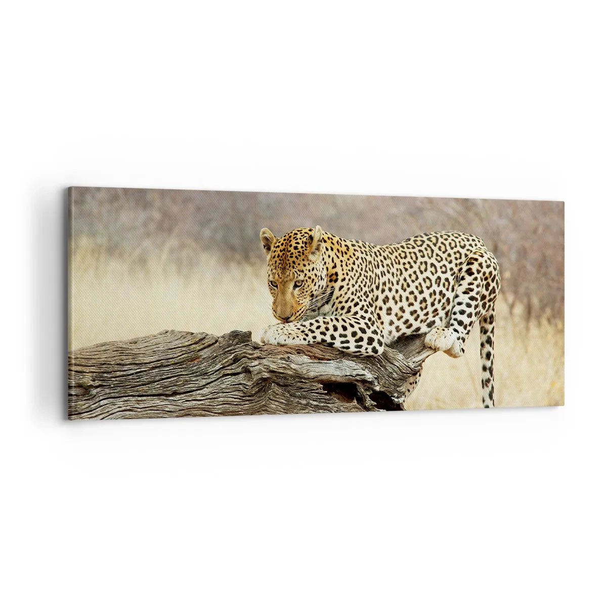 Tablou pe pânză - Mă duc pe drumul meu - 100x40 cm