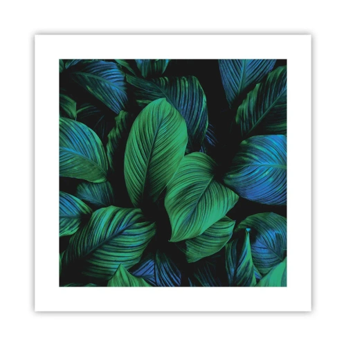 Poster - Traficul verde - 40x40 cm