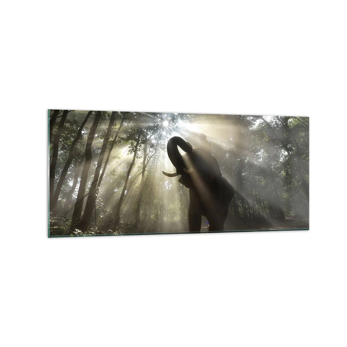 Tablou pe sticlă - Sub o stea norocoasă - 120x50 cm