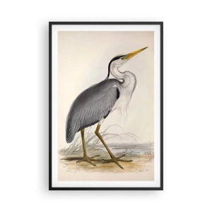 Poster în ramă neagră - Farmecul unui stârc - 61x91 cm