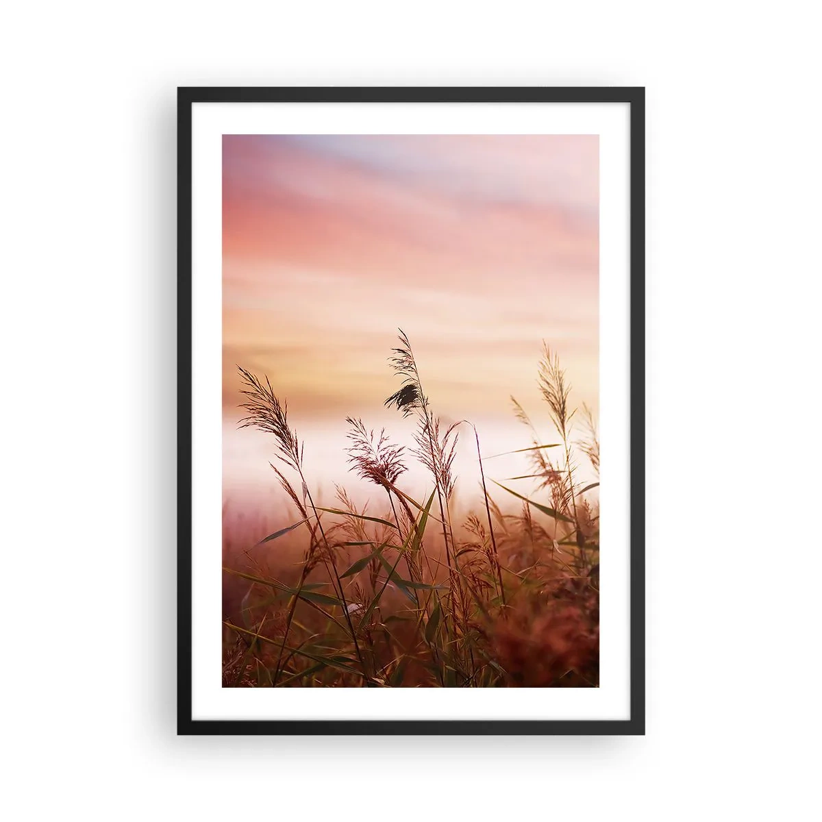 Poster în ramă neagră - Ierburi pe un cer colorat la apus - 50x70cm - Zmeuri, suflante, vânt - Decorațiune modernă pentru perete pentru living și dormitor ARTTOR