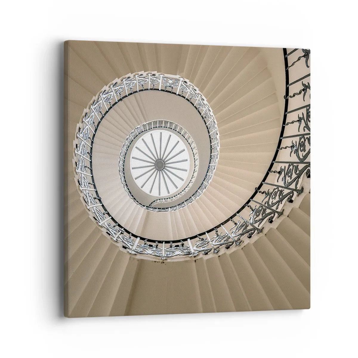 Tablou pe pânză - În interiorul cochiliei - 40x40 cm