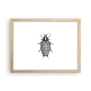 Poster în ramă de stejar deschis - Ce specimen! - 40x30 cm