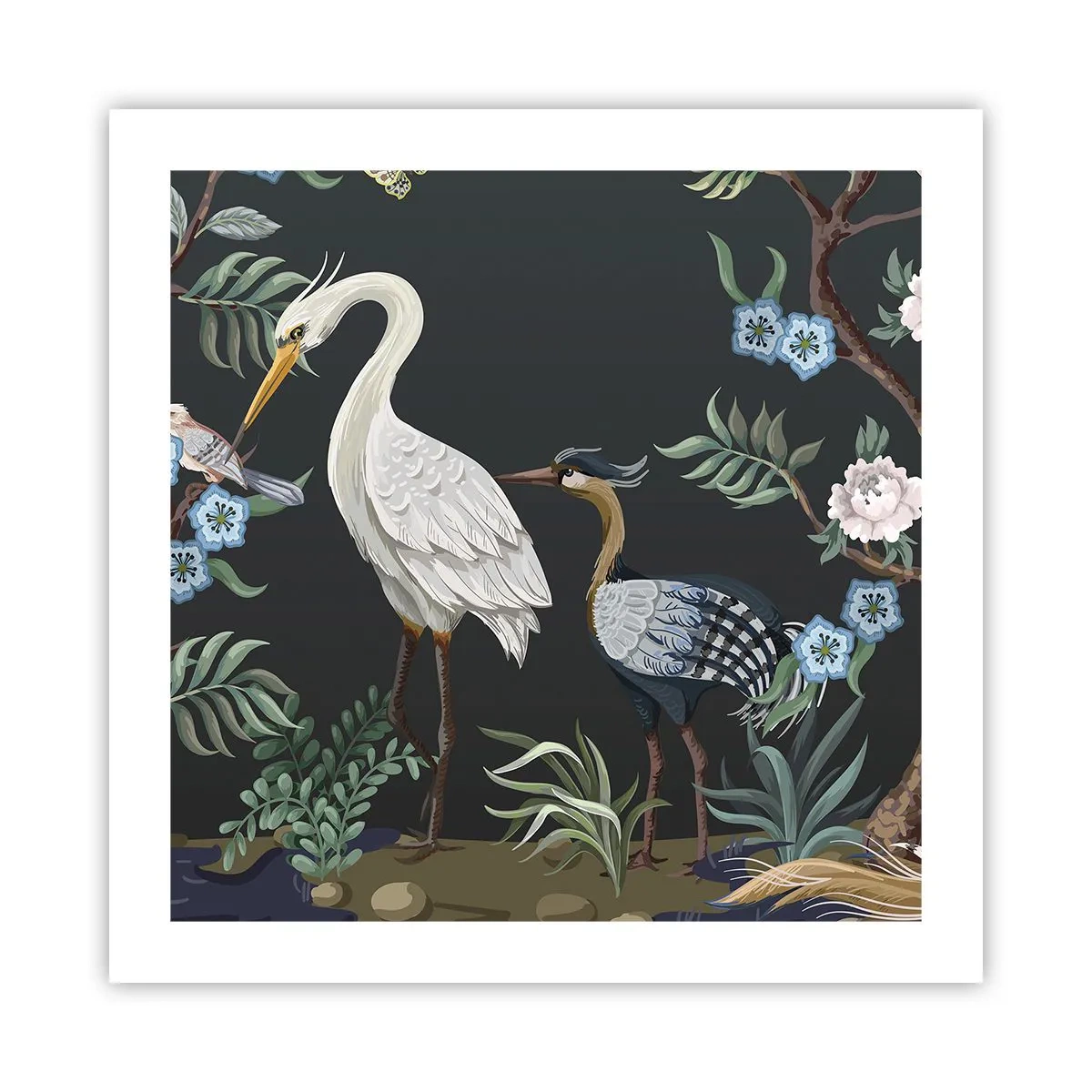 Poster - Parada păsărilor - 50x50 cm