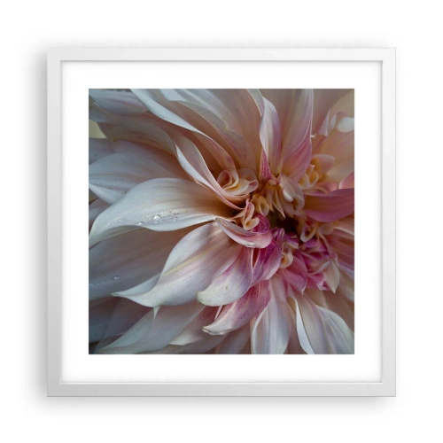 Poster în ramă albă - Prospețime înfloritoare - 40x40 cm