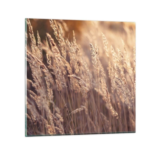 Tablou pe sticlă - Gata să întâmpine toamna - 70x70 cm