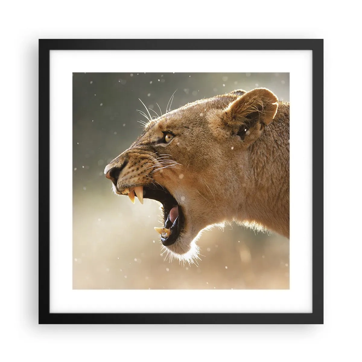 Poster în ramă neagră - Încearcă să nu asculți - 40x40 cm