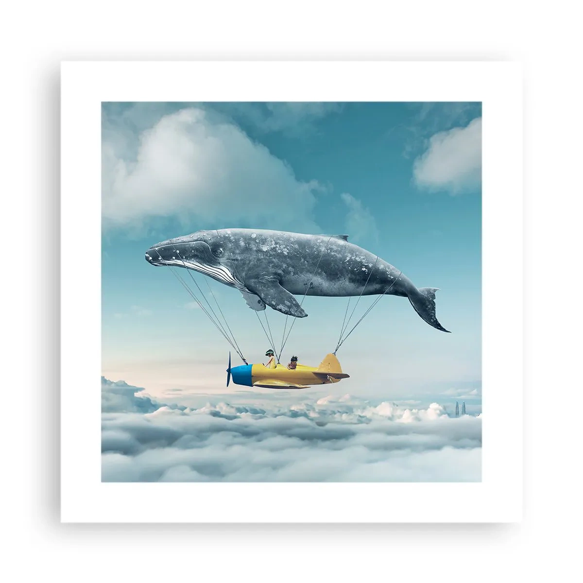 Poster - De ce nu? - 40x40 cm