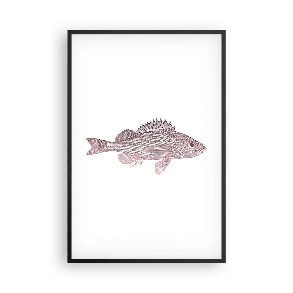 Poster în ramă neagră - Pește cu ochi mari - 61x91 cm