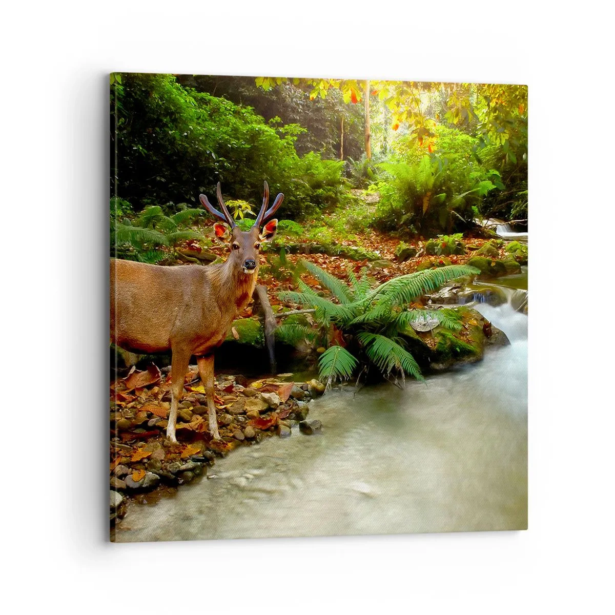 Tablou pe pânză - Bun venit în lumea mea - 70x70 cm