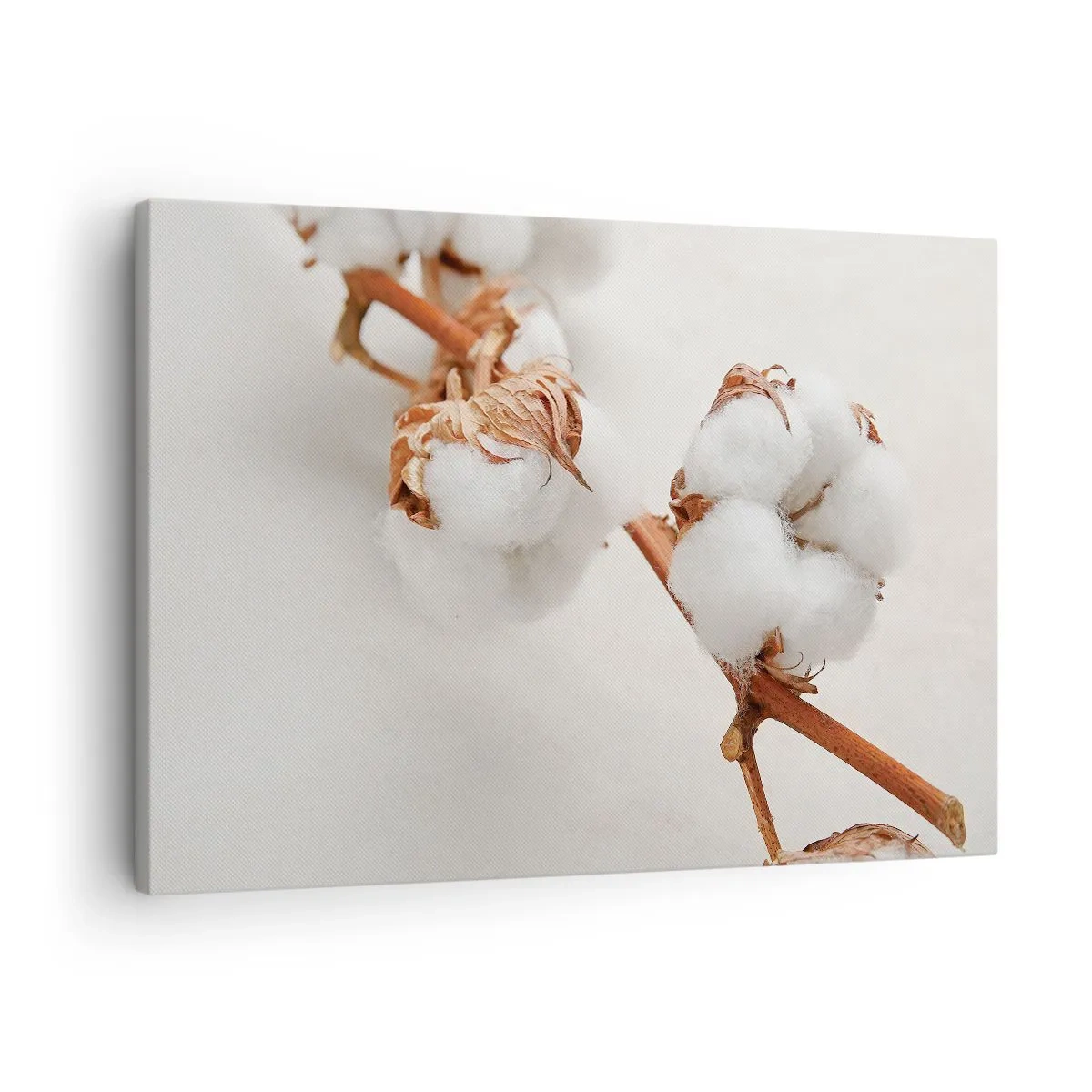Tablou pe pânză Canvas - O crenguță de bumbac pe un fundal subtil - 70x50cm - Numai îmbrățișări - Decorațiune modernă pentru perete pentru living și dormitor ARTTOR