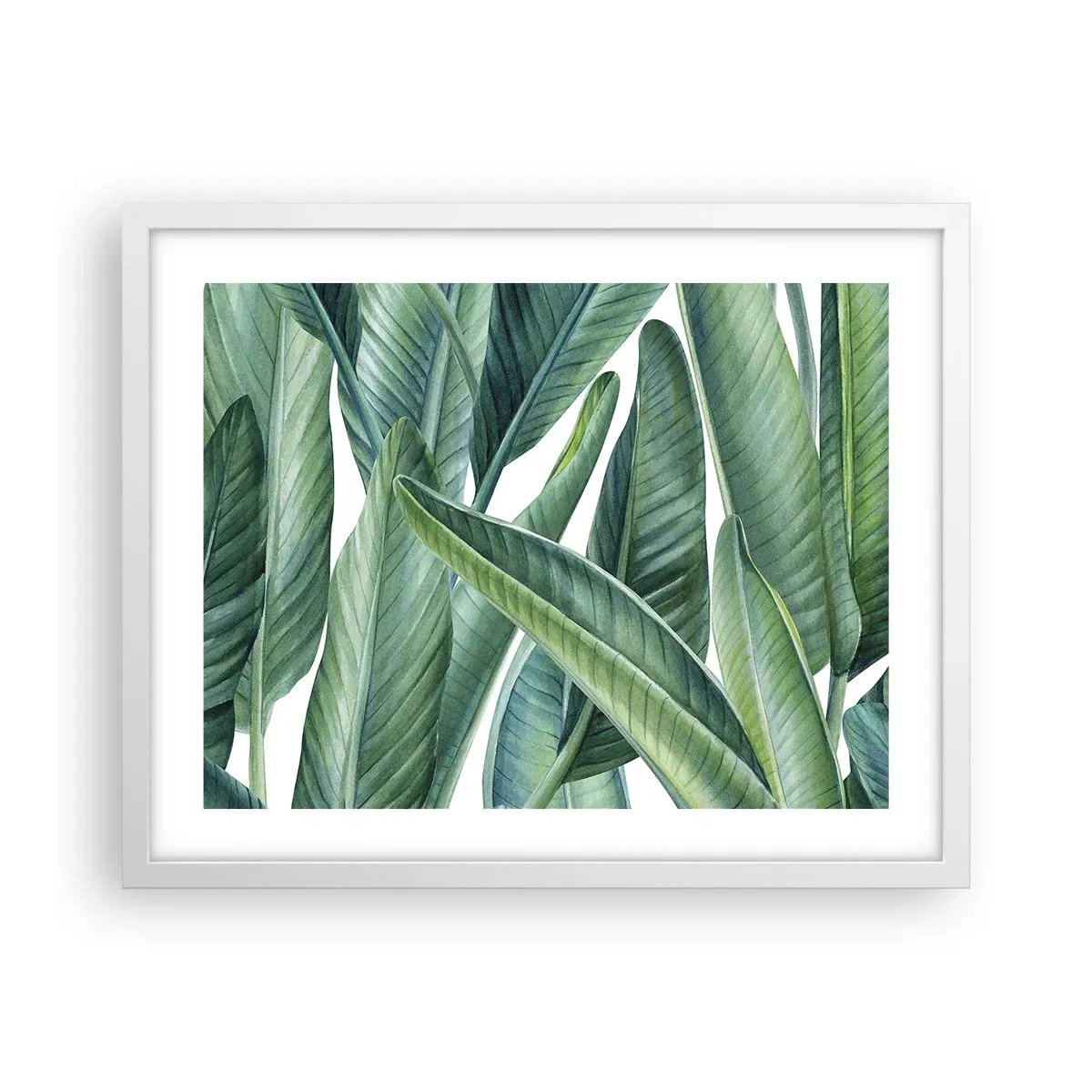 Poster în ramă albă - Verdeața în sine - 50x40 cm