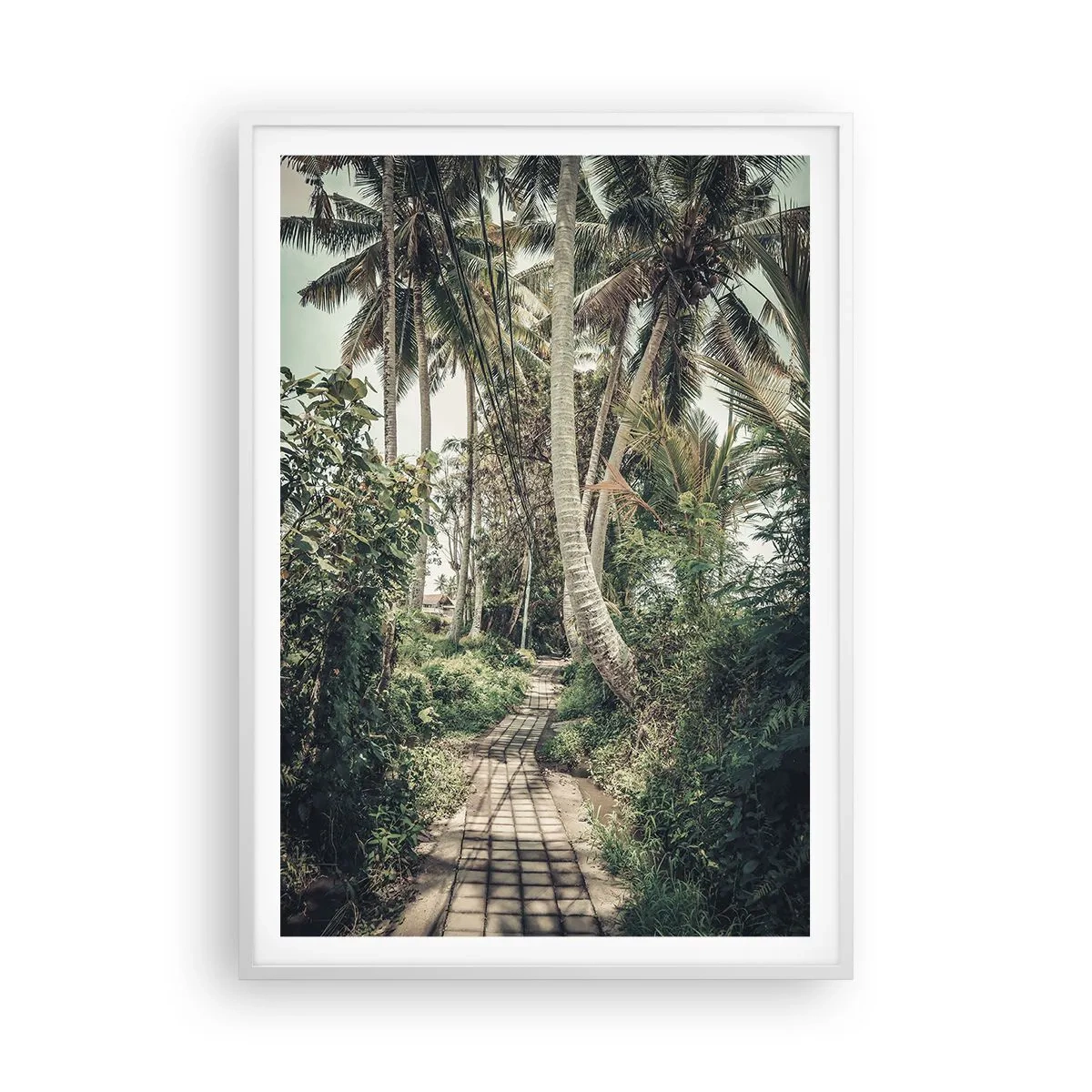 Poster în ramă albă - Bulevardul cu palmieri - 70x100 cm