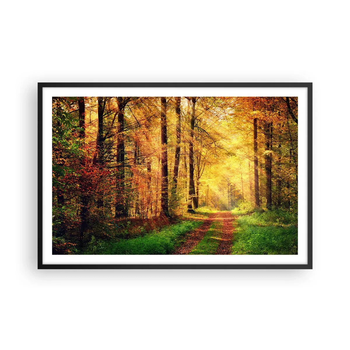 Poster în ramă neagră - Tăcere de aur de pădure - 91x61 cm