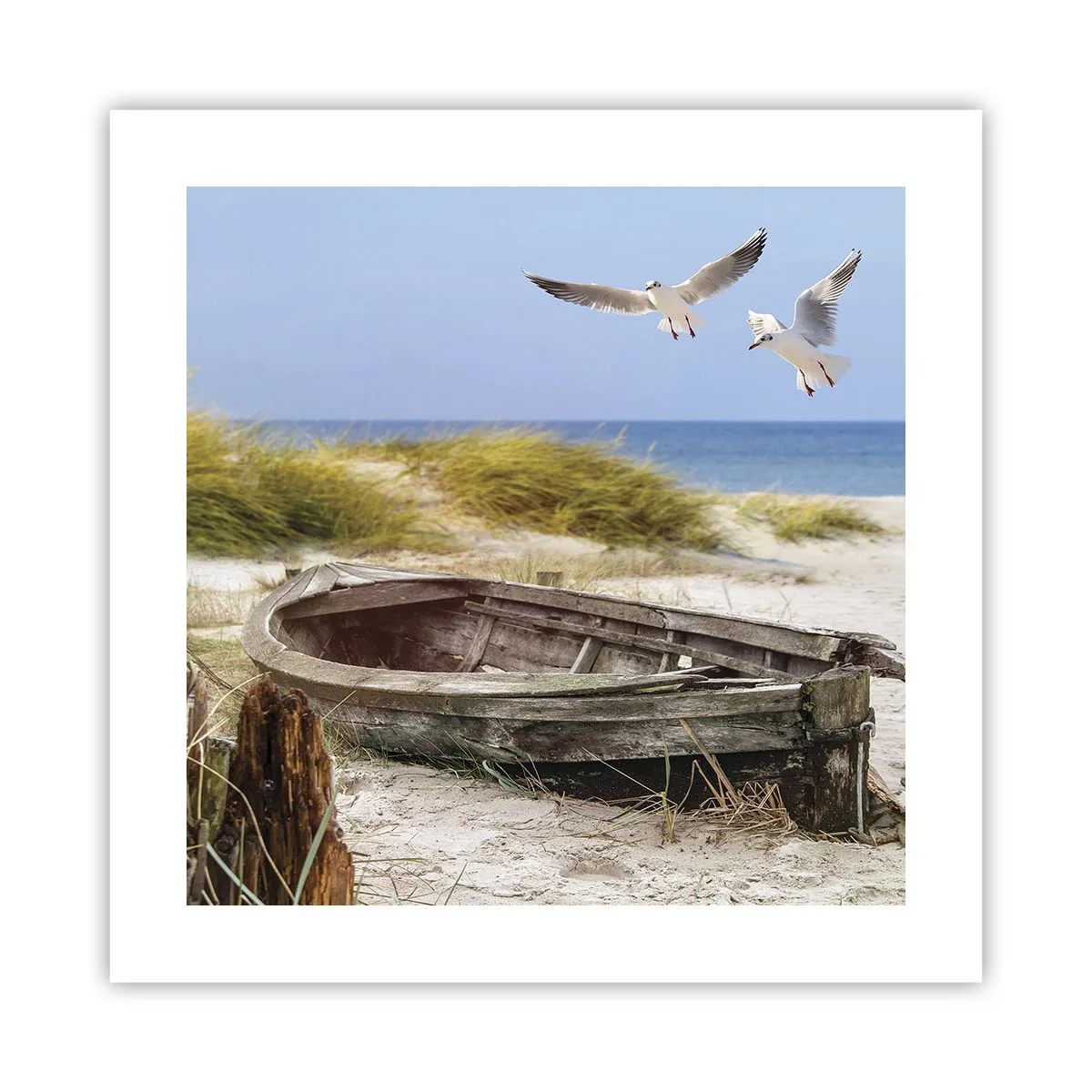 Poster - Scăldate în vânt - 40x40 cm