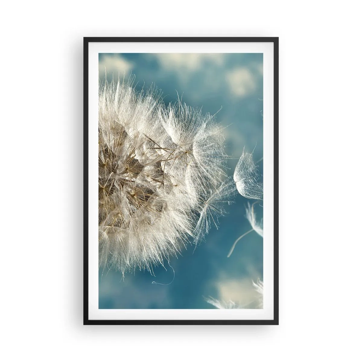 Poster în ramă neagră - Respirația unui înger - 61x91 cm